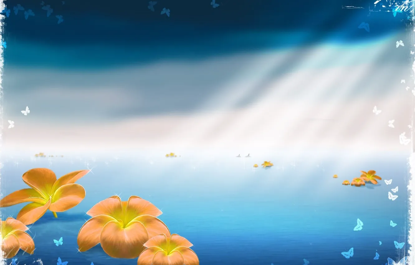 Фото обои море, лучи, бабочки, цветы, синий, полотно, пространство