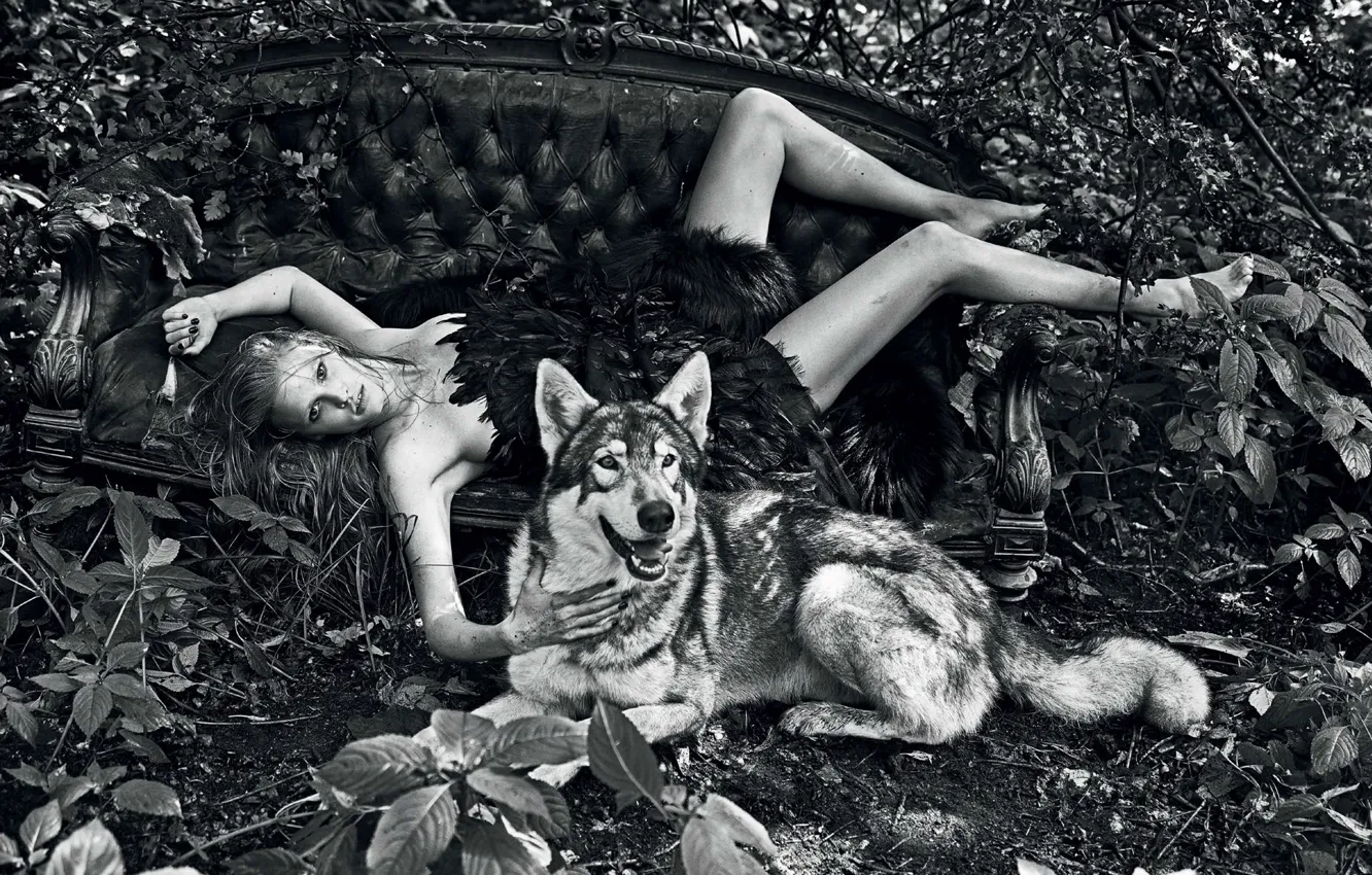 Фото обои диван, волк, арт, блондинка, лижет, черно белая, Lara Stone