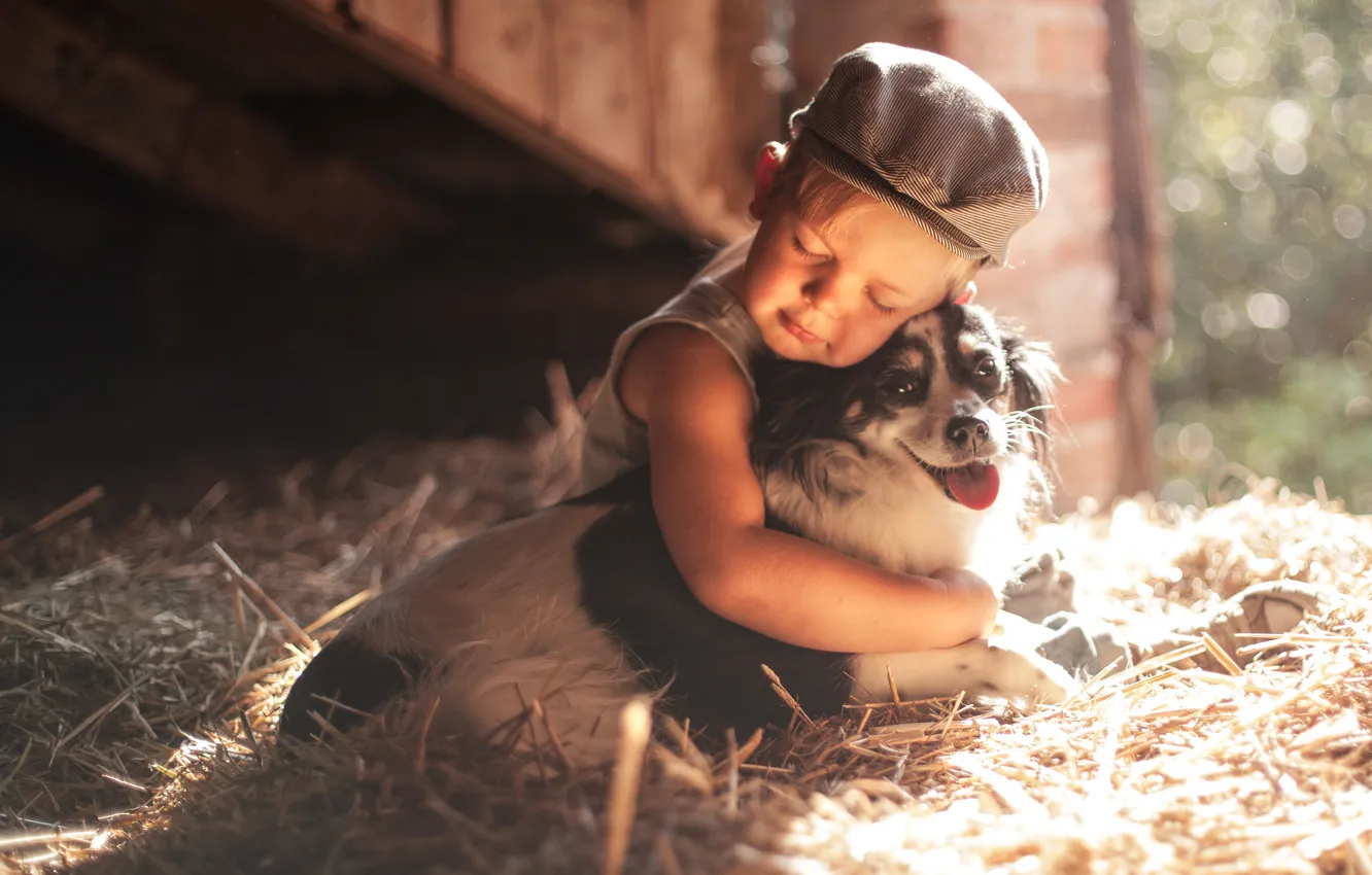Фото обои собака, мальчик, дружба, сено, кепка, друзья