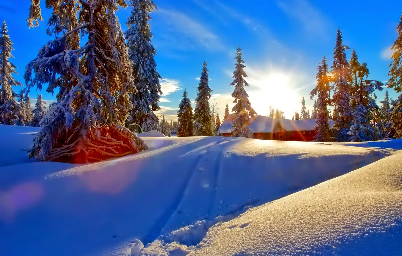 Фото обои зима, лес, небо, облака, снег, закат, дом, ель