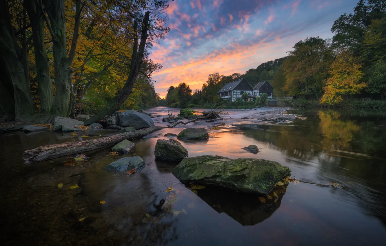 Фото обои осень, лес, небо, листья, облака, деревья, закат, река