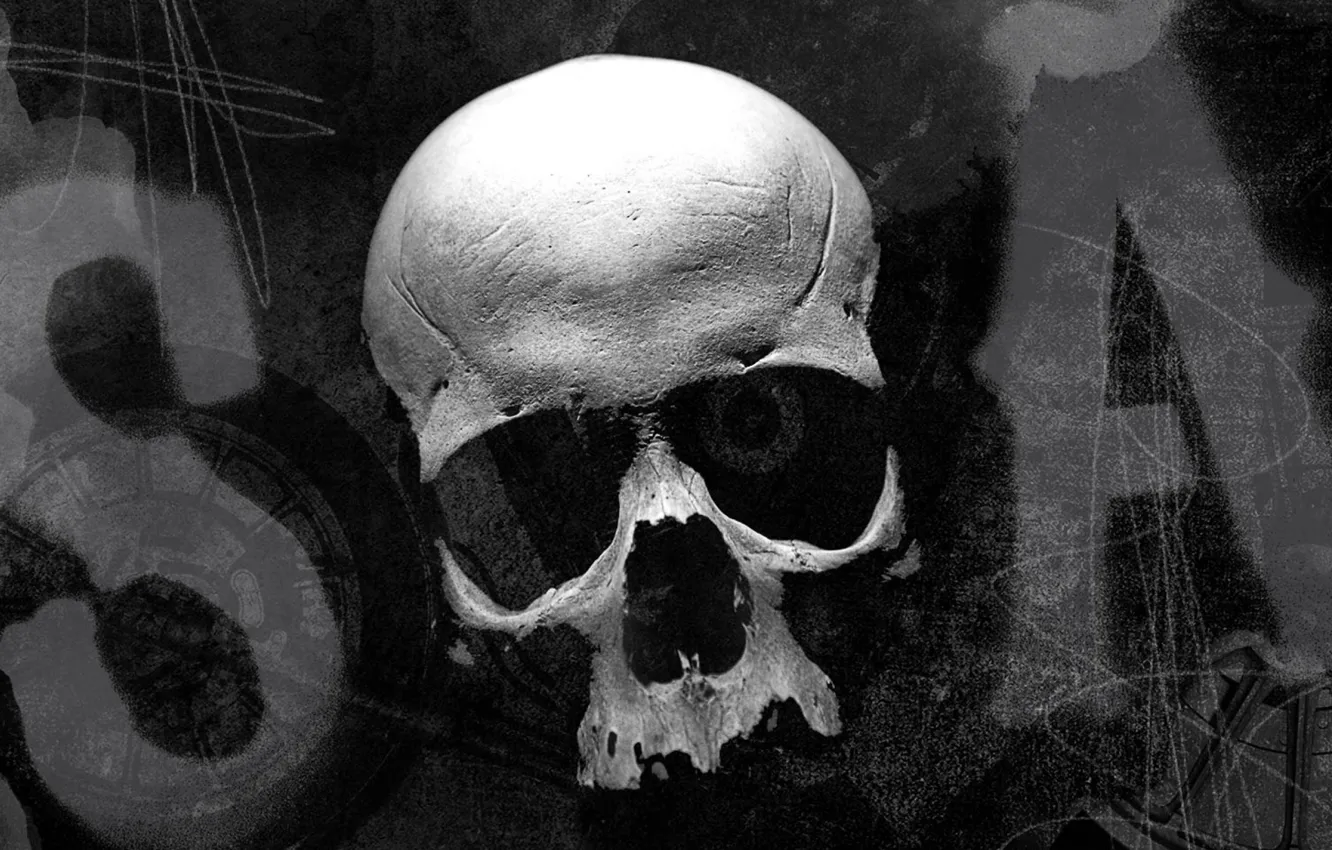 Фото обои wallpaper, skull, logo, dead, California, rims, death, assassin