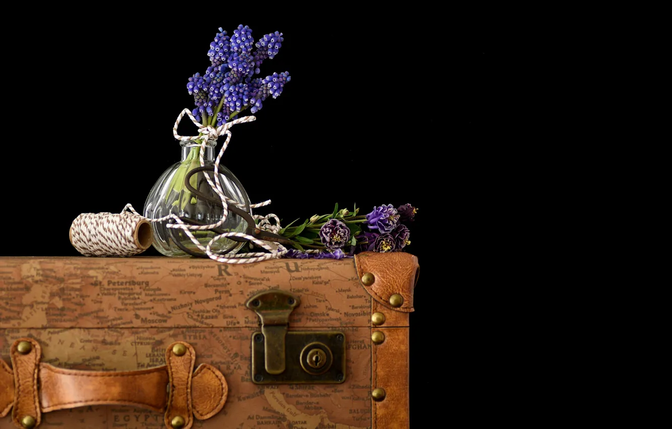 Фото обои цветы, ретро, букет, веревка, фиолетовые, ваза, чемодан, черный фон