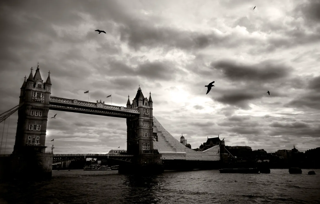 Фото обои небо, облака, птицы, мост, город, река, черно-белый, лондон