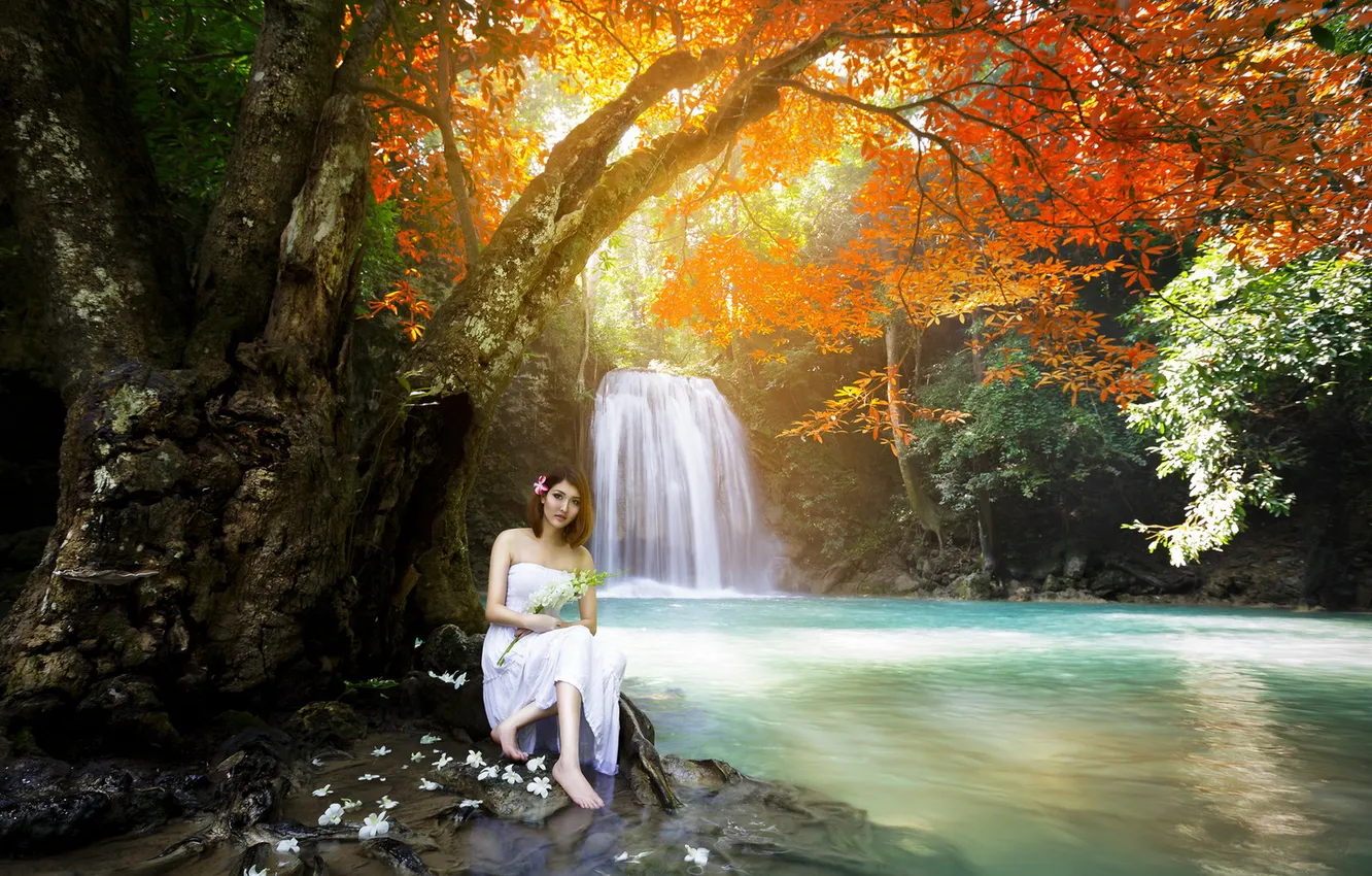 Фото обои девушка, река, водопад