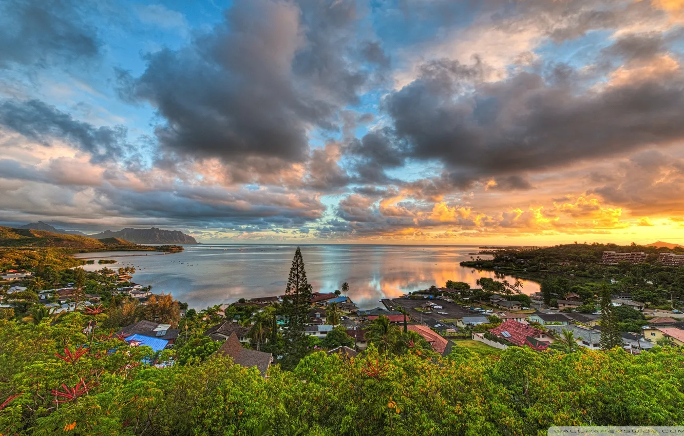 Назад город. Гавайи обои. Гавайи пейзаж смотровая. Гавайи пейзаж порт. Honolulu Hawaii.