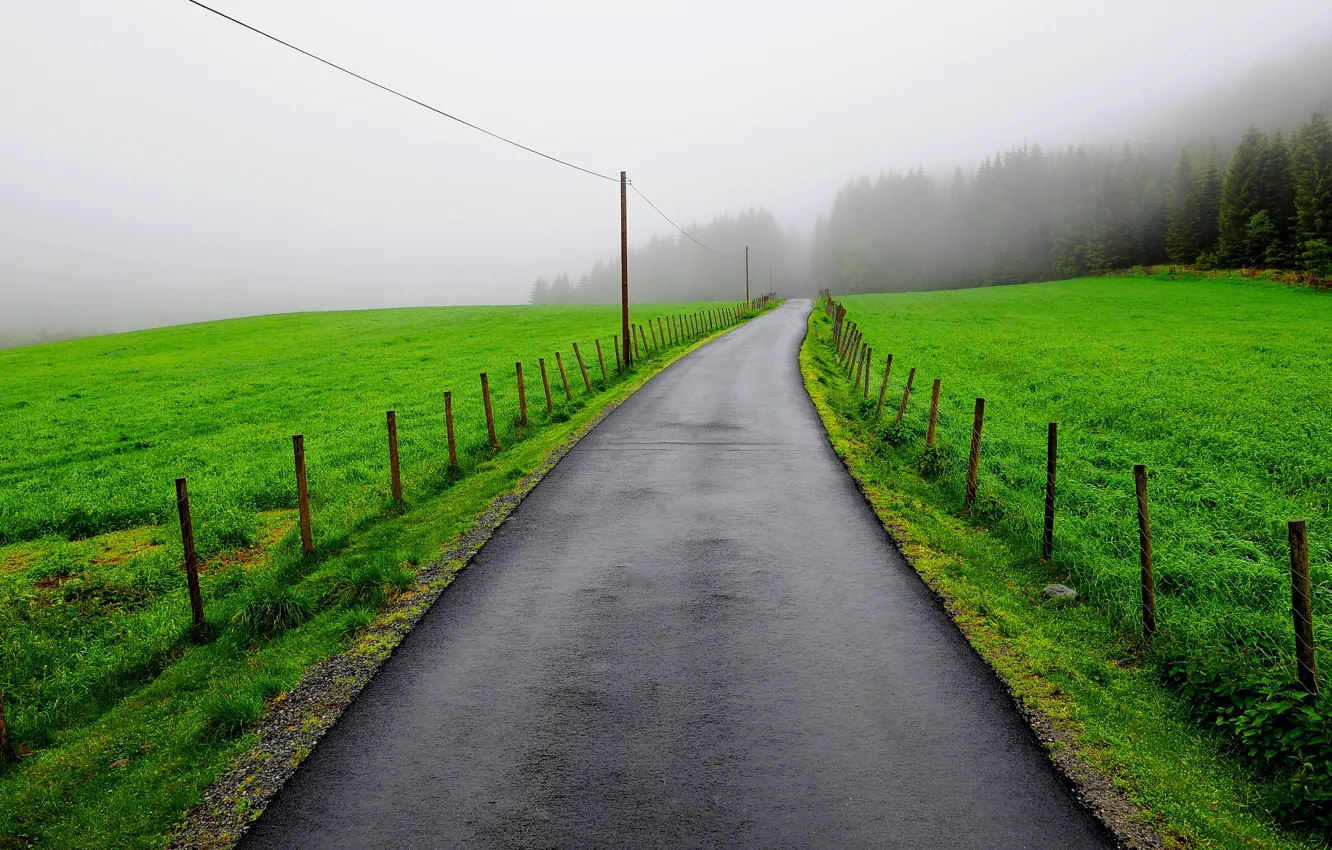 Фото обои дорога, поле, туман, забор