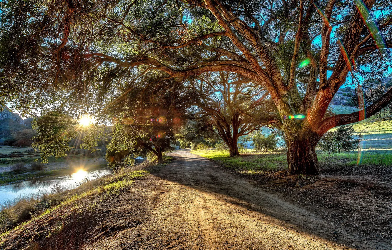 Фото обои дорога, солнце, лучи, деревья, горы, ветки, ручей, листва