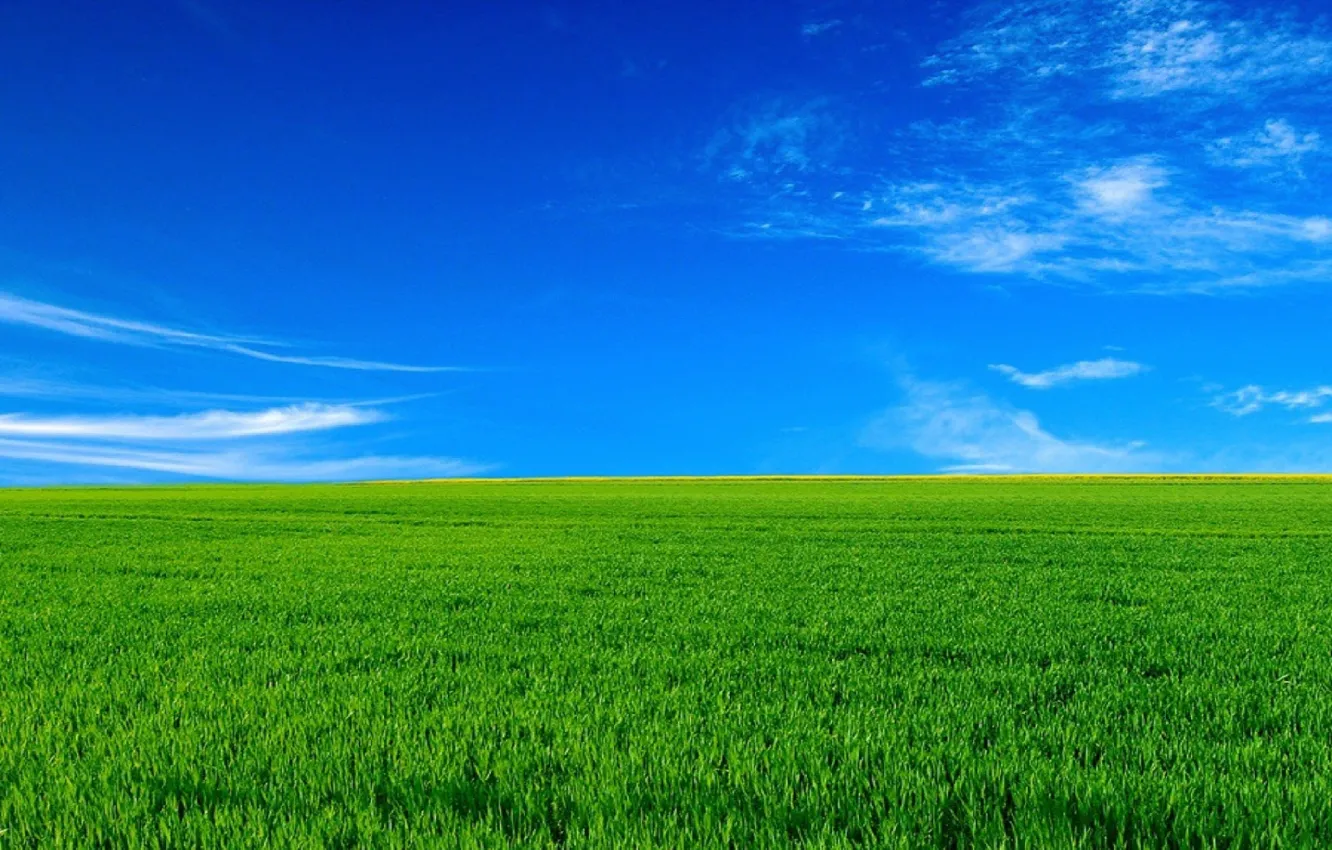 Фото обои поле, небо, пейзаж, горизонт