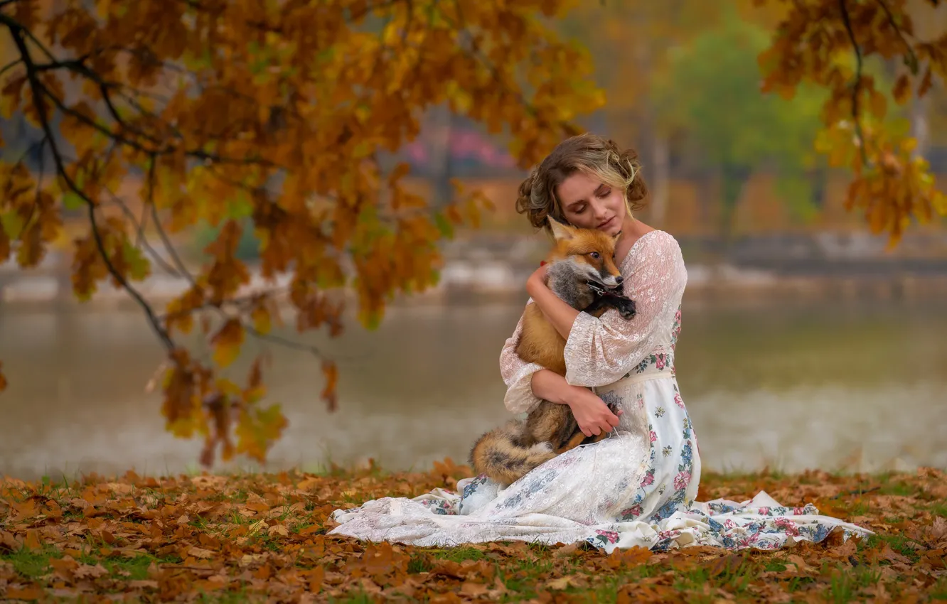Фото обои осень, девушка, природа, животное, платье, лиса, лисица, Ross McGree