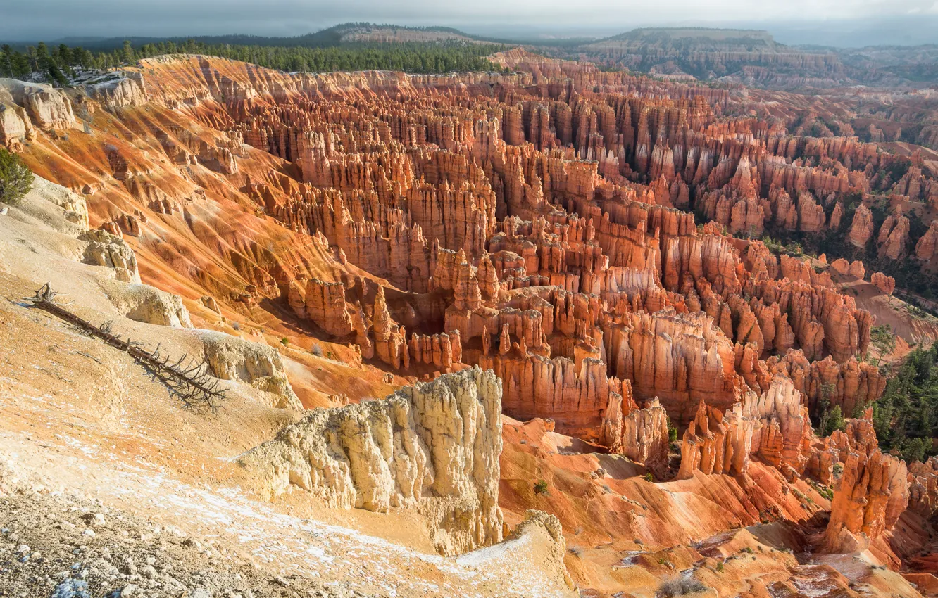 Фото обои Юта, США, Utah, Garfield County