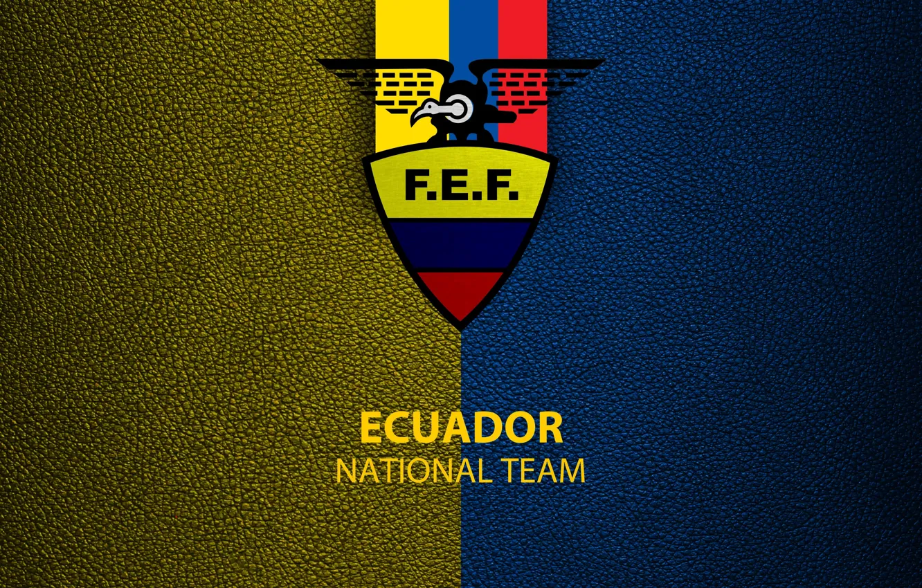 Фото обои wallpaper, sport, logo, football, Ecuador, National team