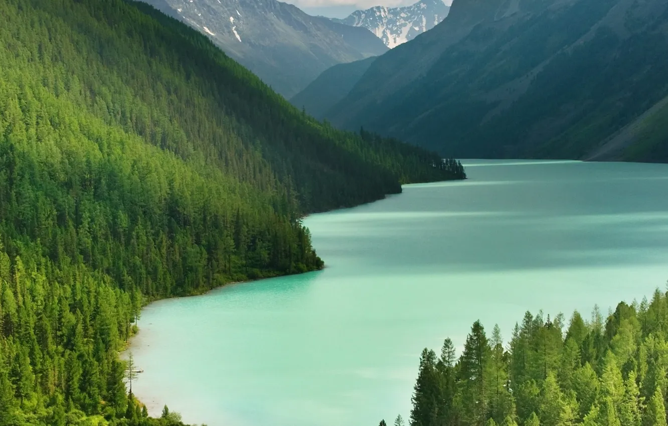 Фото обои деревья, горы, озеро, тайга