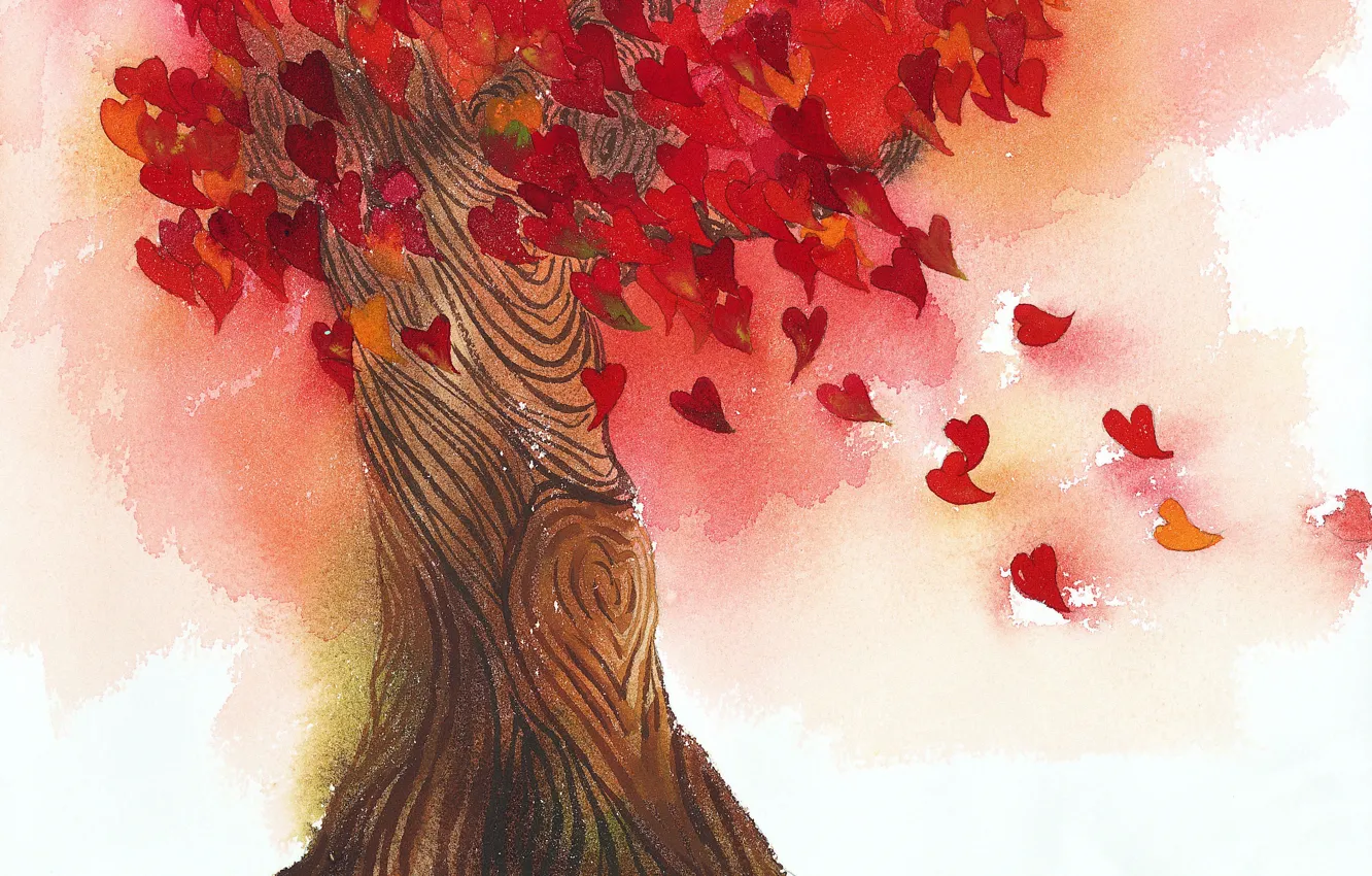 Фото обои листья, любовь, дерево, сердце