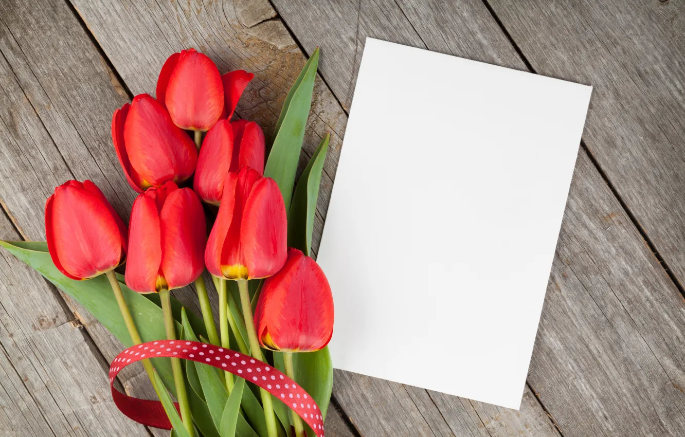Фото обои тюльпаны, red, wood, flowers, tulips, красные тюльпаны