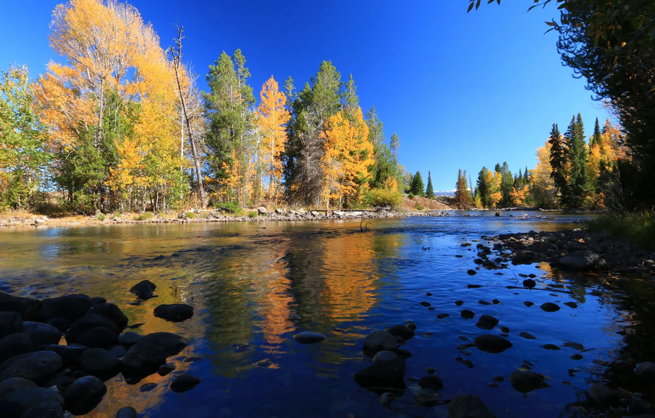 Фото обои осень, деревья, горы, река, Вайоминг, США, Гранд-Титон, Grand Teton National Park