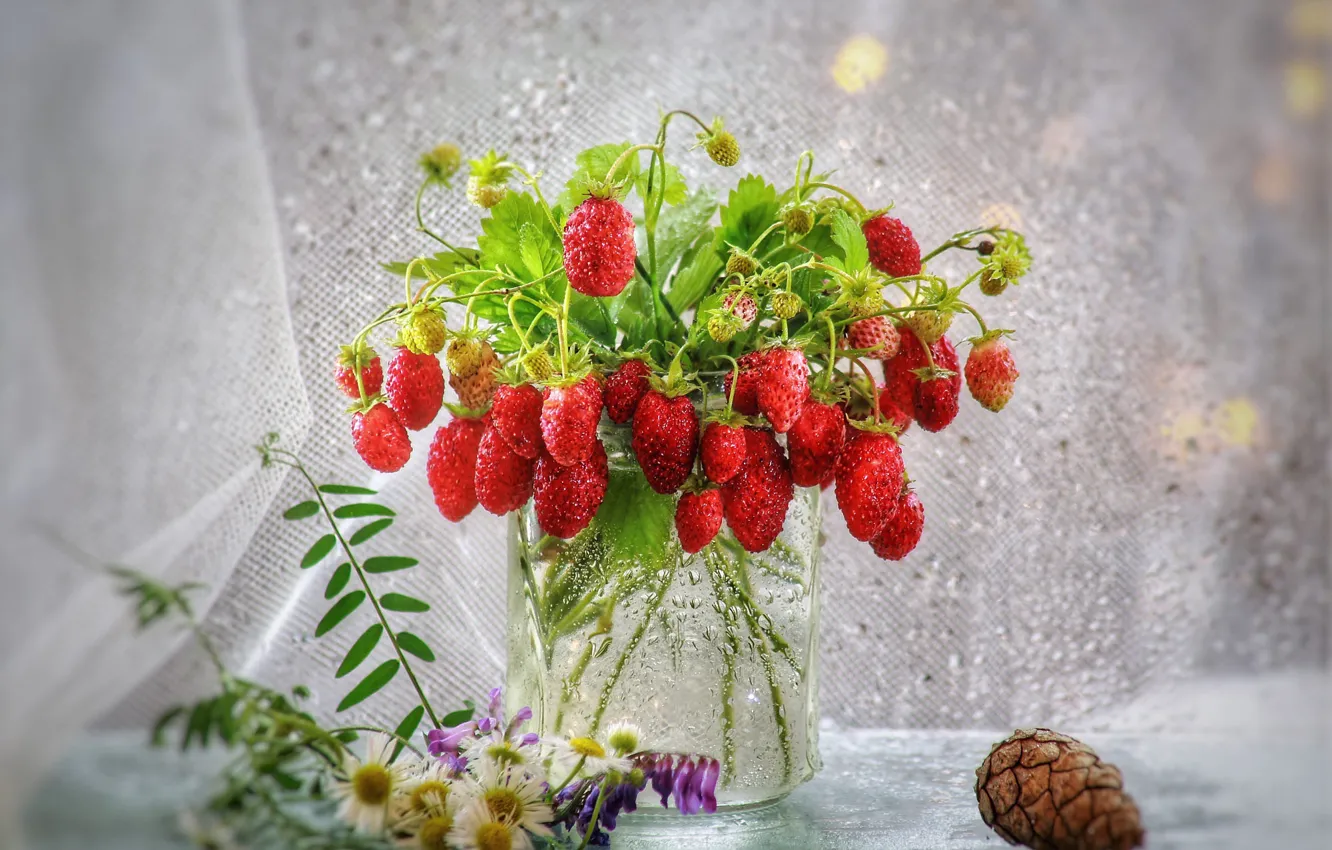 Фото обои лето, капли, цветы, ягоды, настроение, земляника, банка, натюрморт