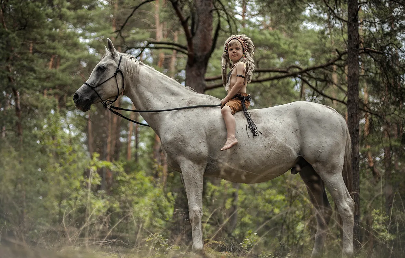 Фото обои лес, конь, мальчик