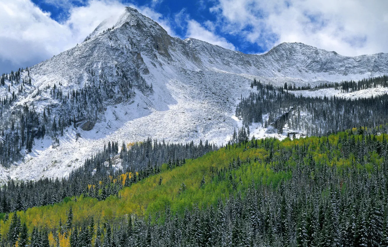 Фото обои лес, снег, пейзаж, горы, природа, скалы, высота, альпы