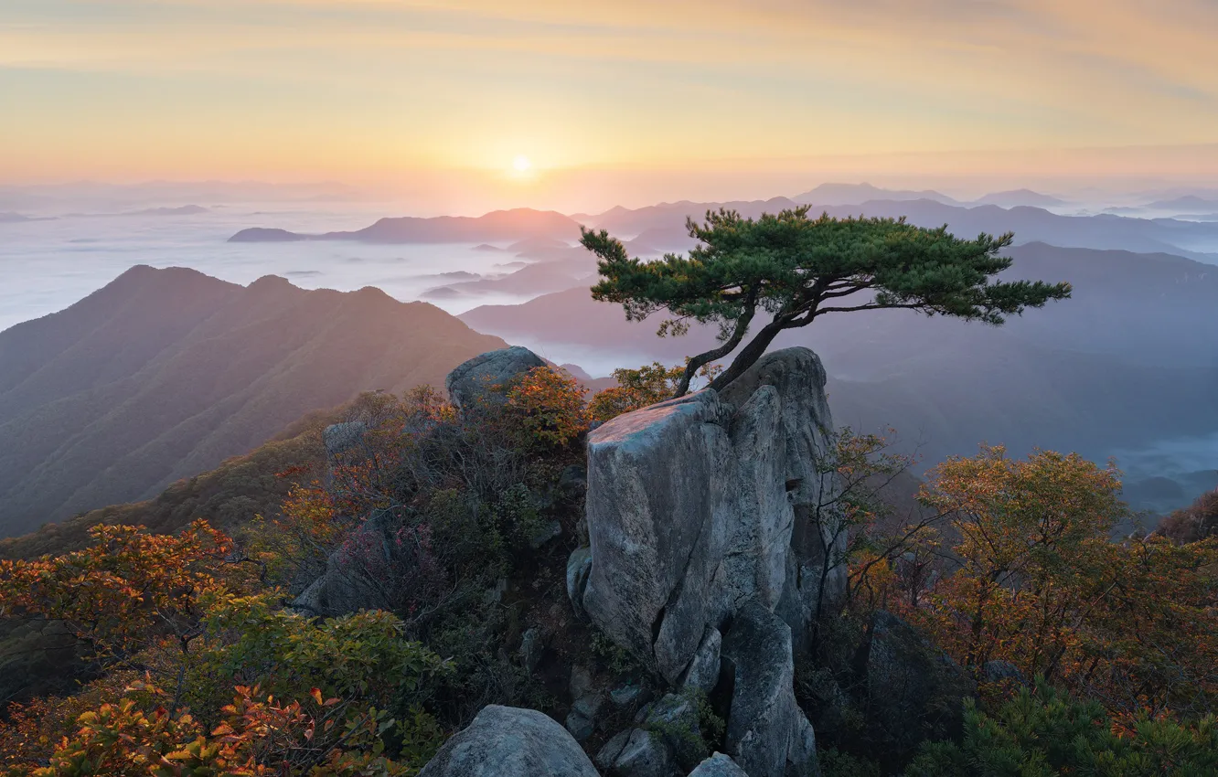 Фото обои облака, пейзаж, горы, природа, дерево, рассвет, утро, Корея