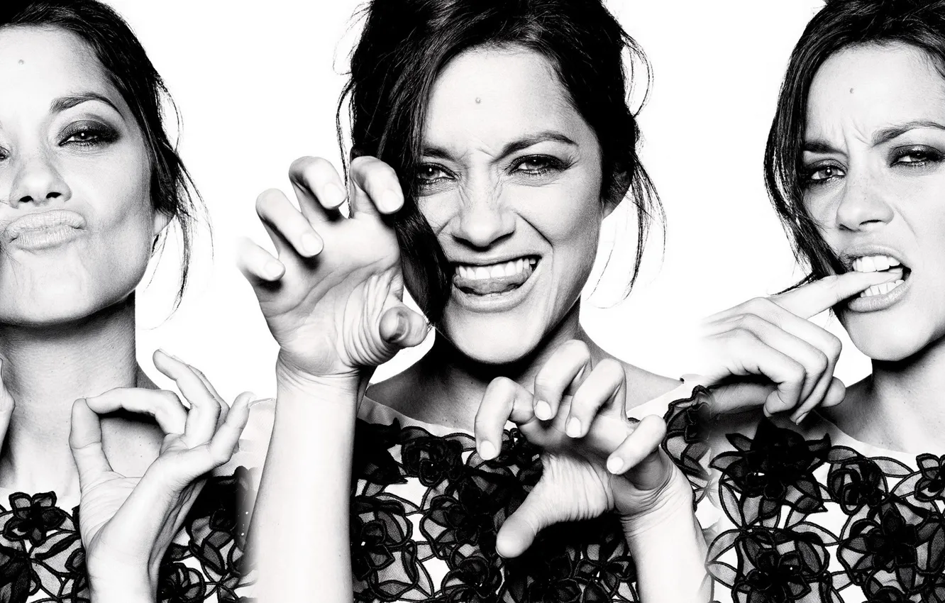 Фото обои актриса, Marion Cotillard