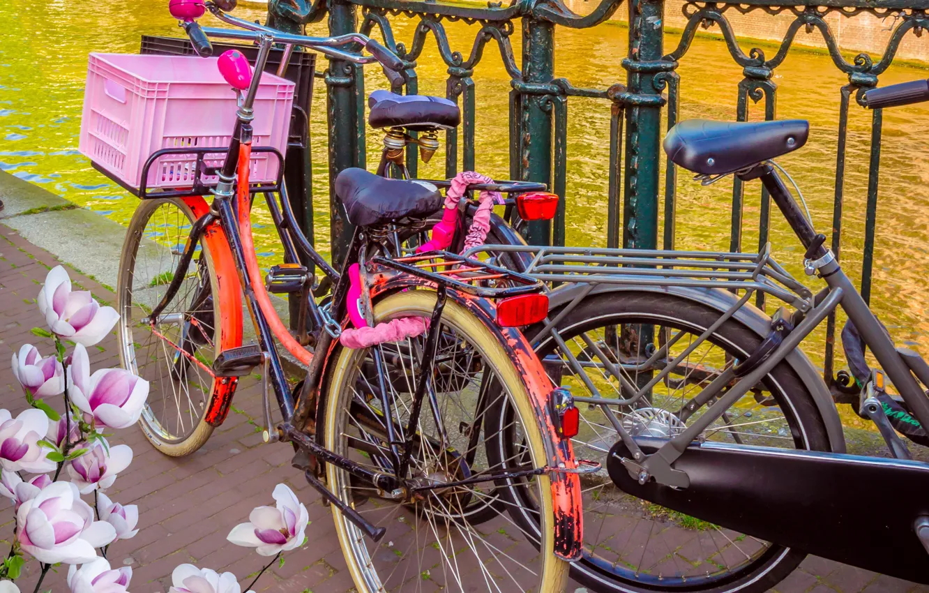 Фото обои велосипед, река, весна, Амстердам, bicycle, цветение, bike, blossom