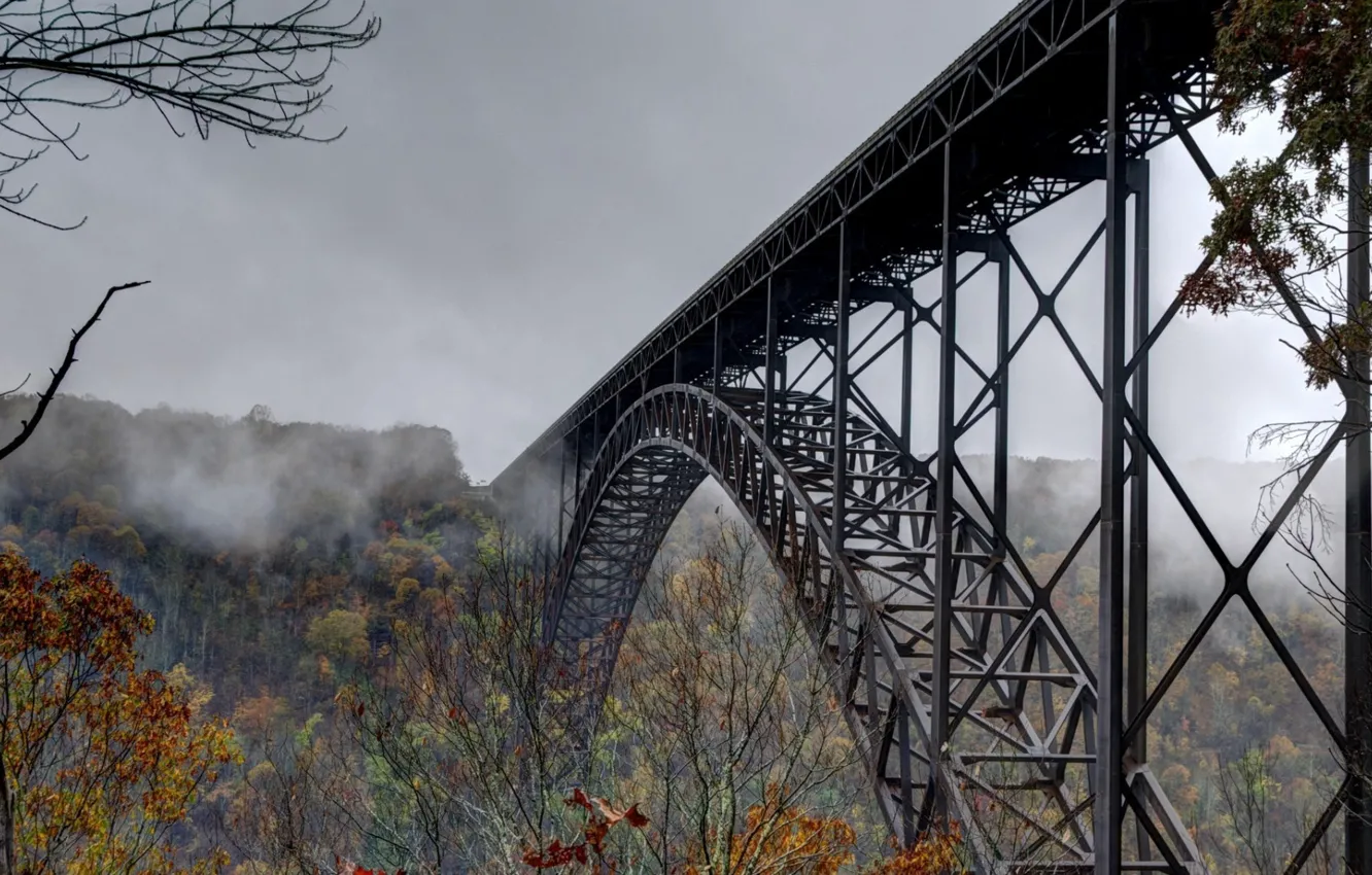 Фото обои Bridge, Autumn, Fog, Energo5, Overcast