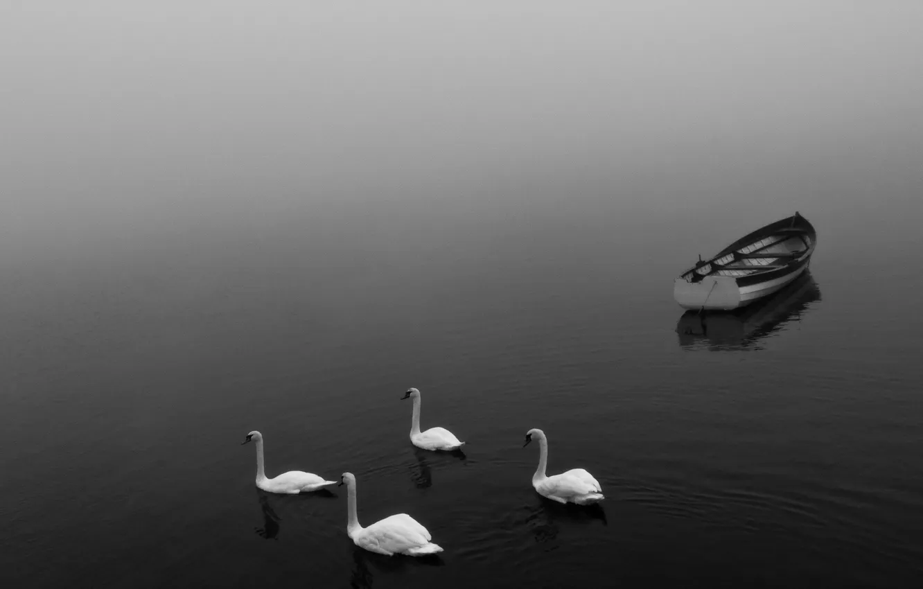 Фото обои пейзаж, озеро, лодка, лебеди