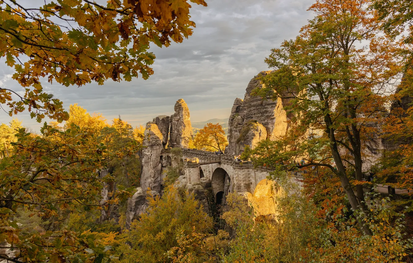 Фото обои осень, деревья, горы, мост, скалы, Германия, Germany, Эльбские Песчаниковые горы