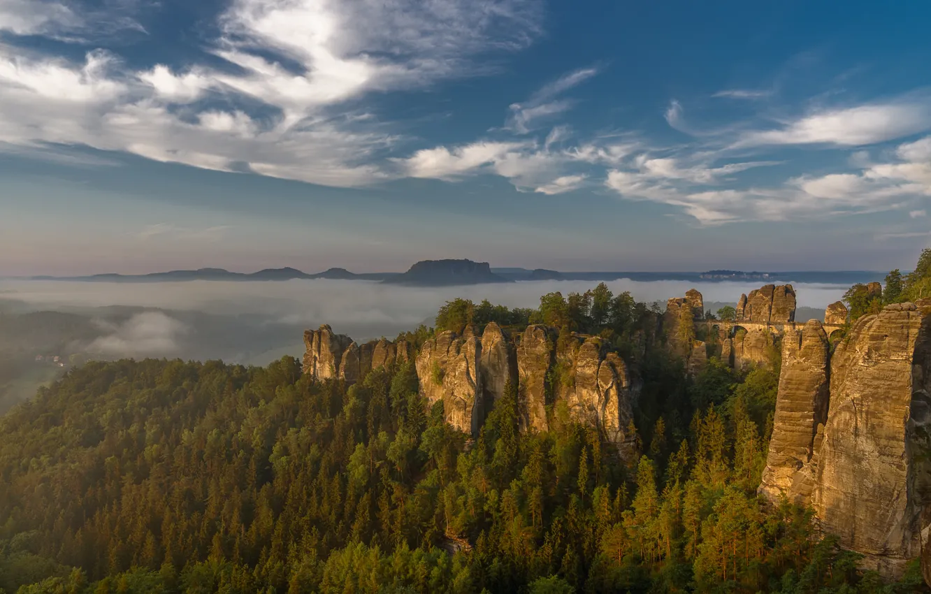 Фото обои лес, небо, пейзаж, горы, природа, туман, синева, скалы