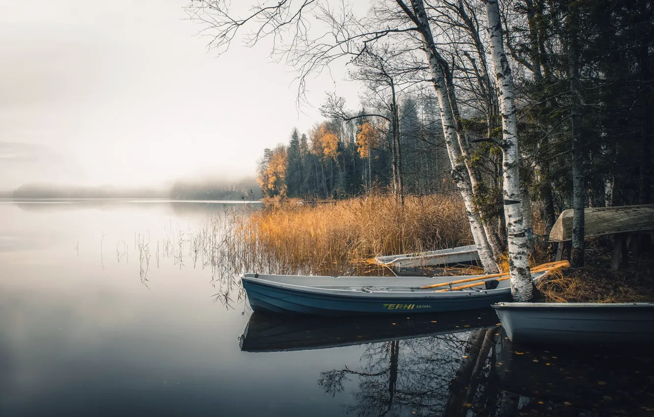 Фото обои туман, озеро, лодки