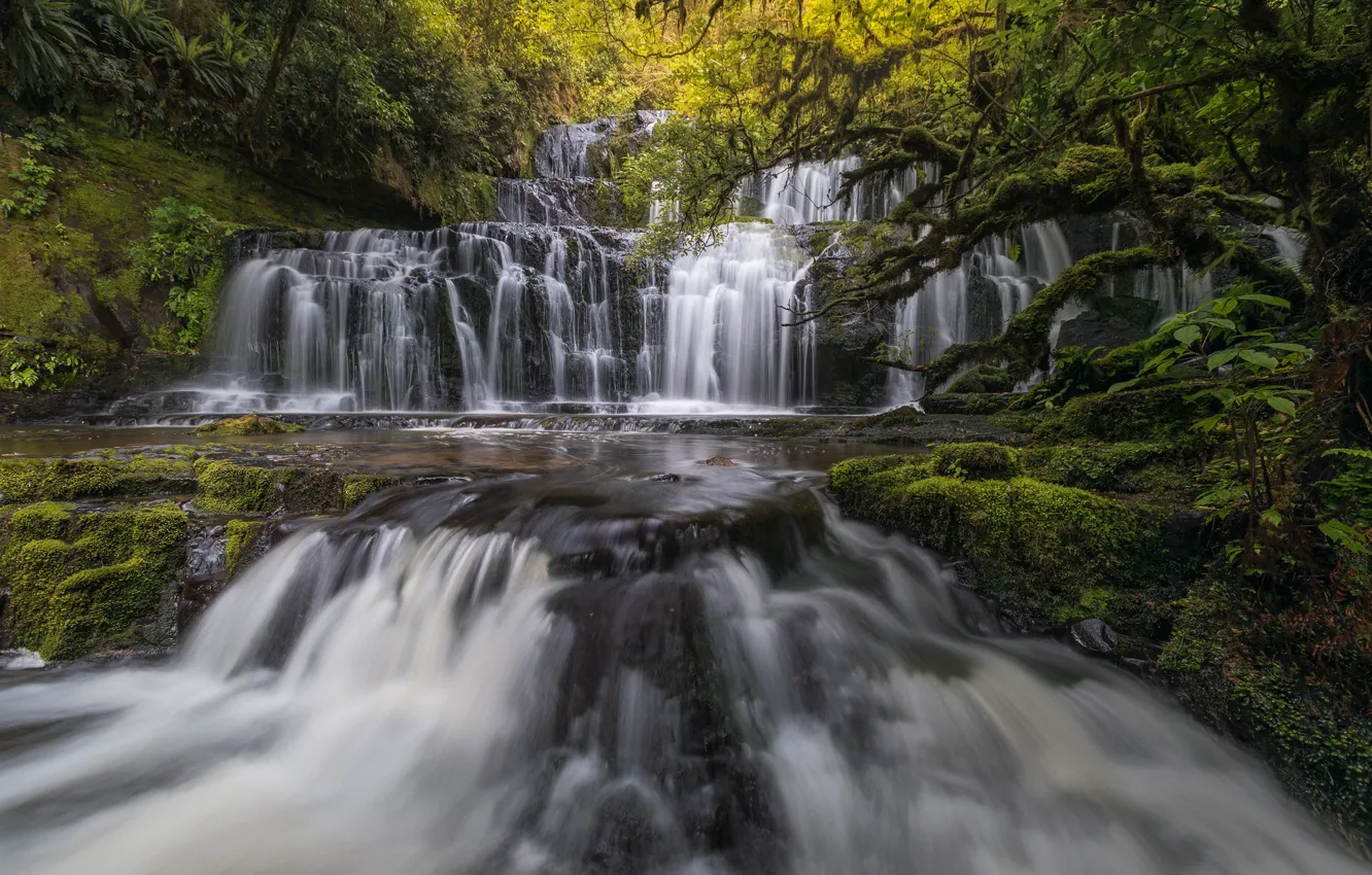 Фото обои лес, река, водопад, Новая Зеландия, каскад, New Zealand, Purakaunui Falls, Purakaunui River
