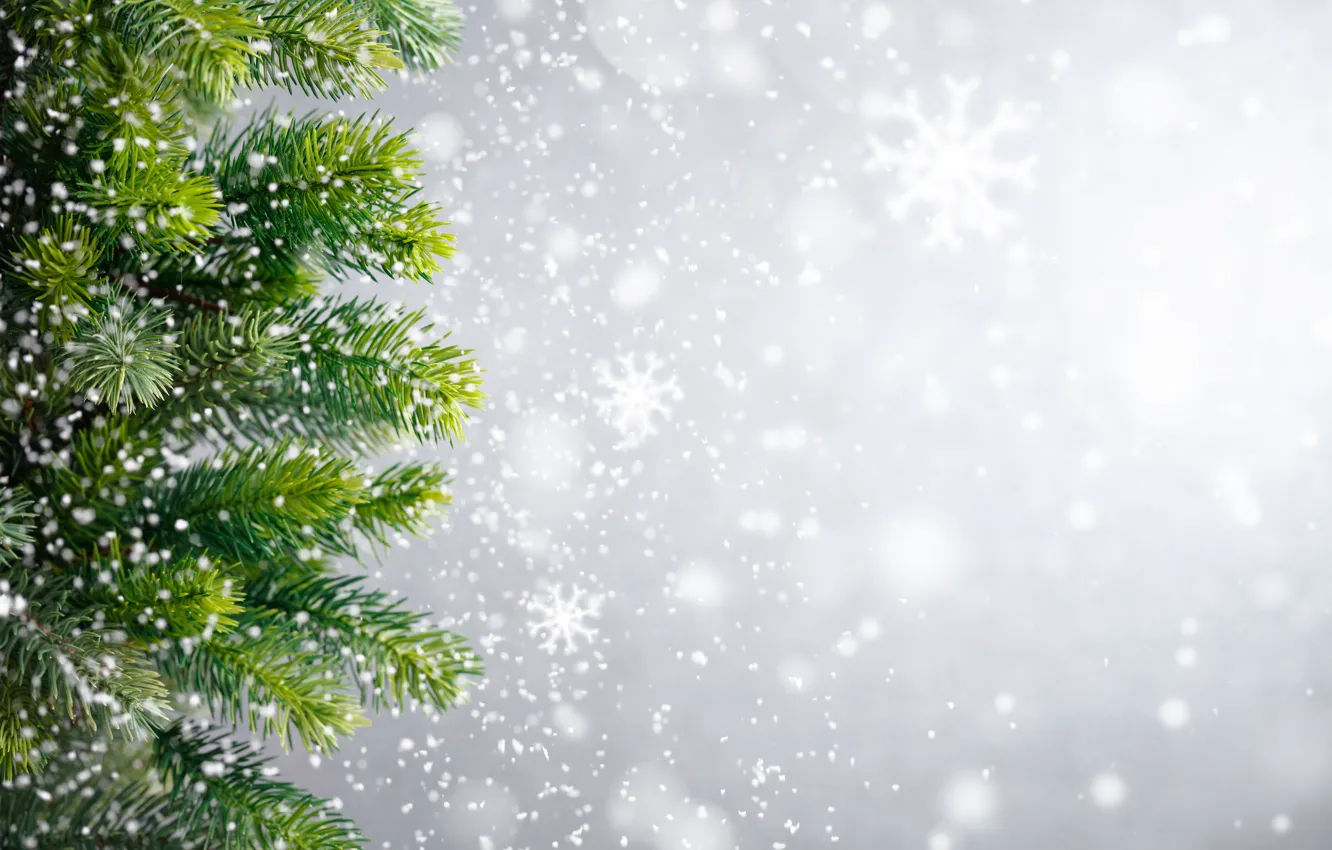 Фото обои зима, снег, снежинки, елка, Новый Год, Рождество, Christmas, winter