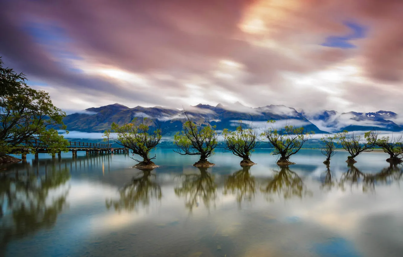 Фото обои деревья, озеро, причал, Новая Зеландия, Квинстаун, Уакатипу