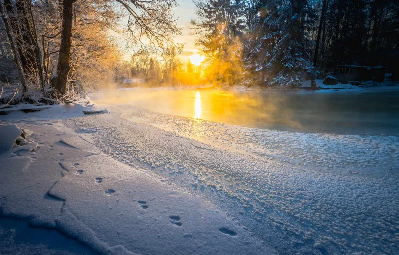 Фото обои зима, туман, река, утро