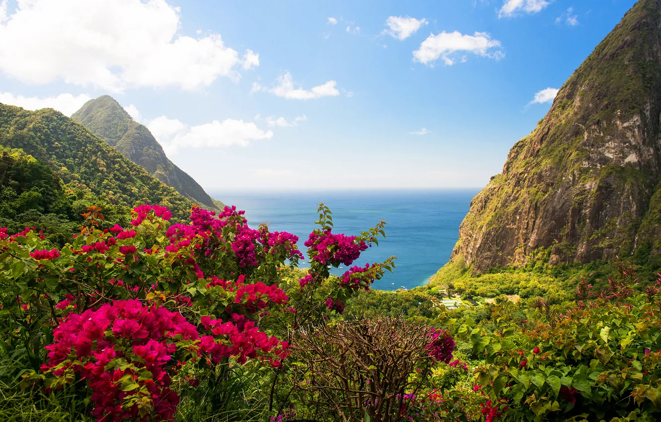 Фото обои море, зелень, пейзаж, цветы, природа, скалы, вид, остров