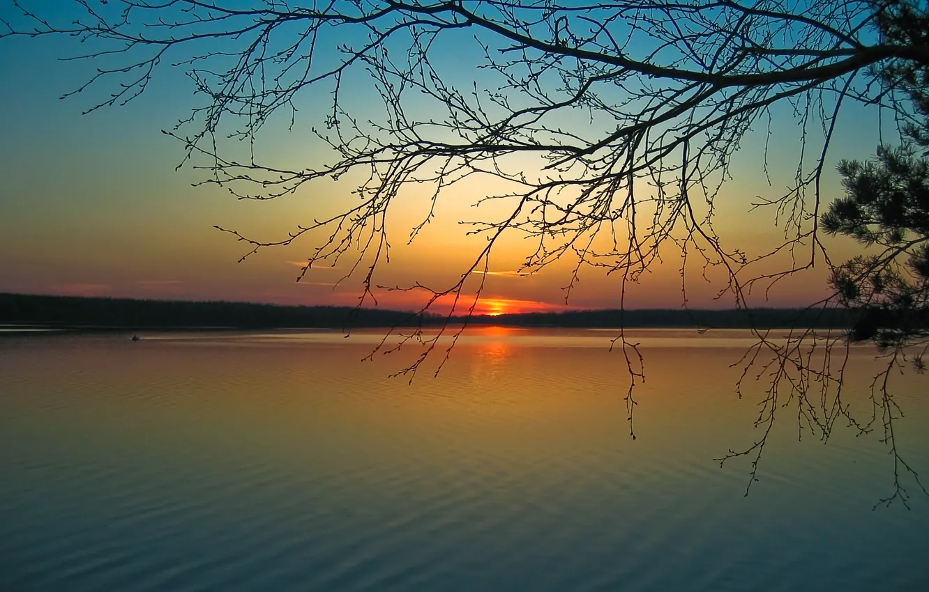 Фото обои солнце, закат, река, ветви, берег, спокойствие, тишина, вечер