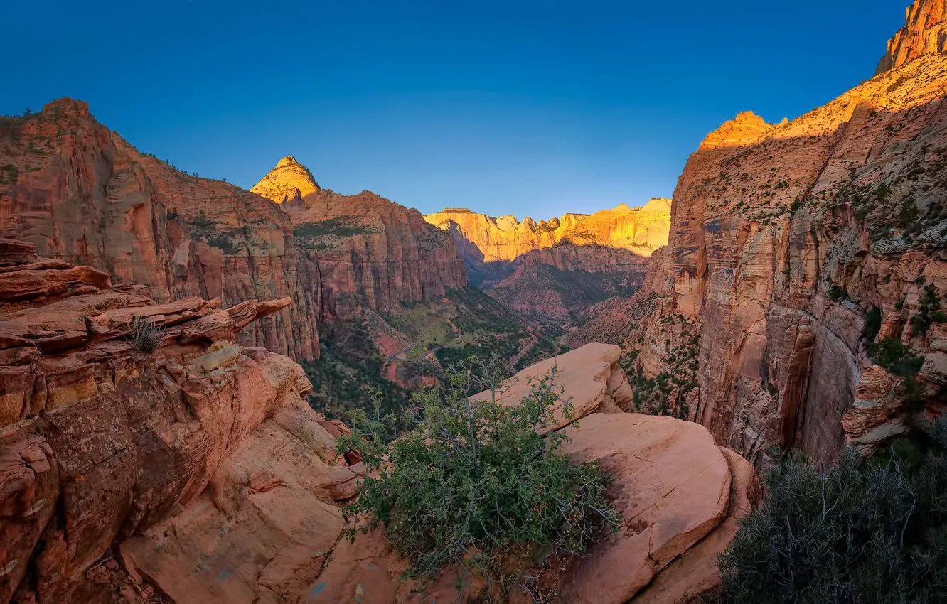 Фото обои скалы, каньон, Юта, США, Zion National Park, Национальный парк Сион