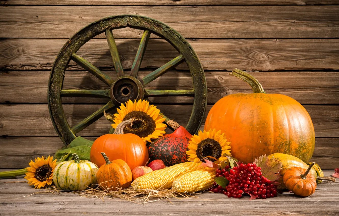 Фото обои осень, урожай, тыква, натюрморт, овощи, autumn, still life, pumpkin