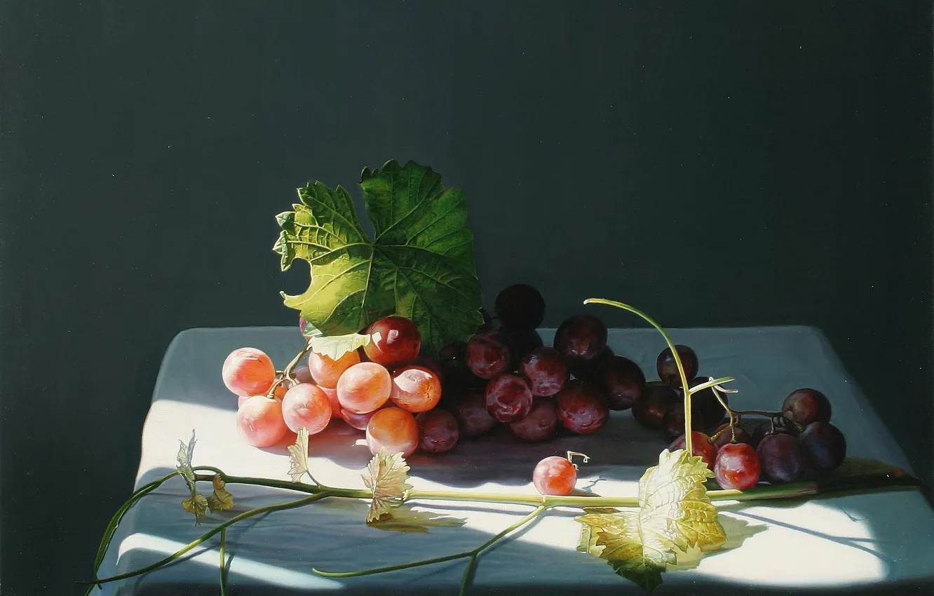 Фото обои свет, ягоды, стол, тень, картина, арт, виноград, натюрморт