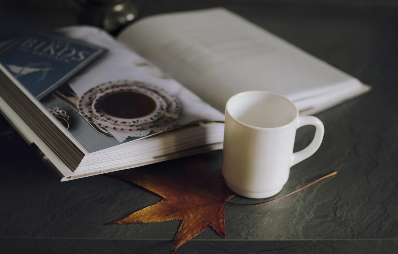 Фото обои лист, кружка, чашка, белая, книга. картинка