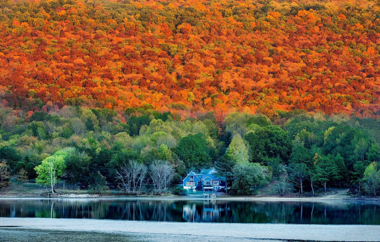 Фото обои осень, лес, дом, Alabama in Autumn