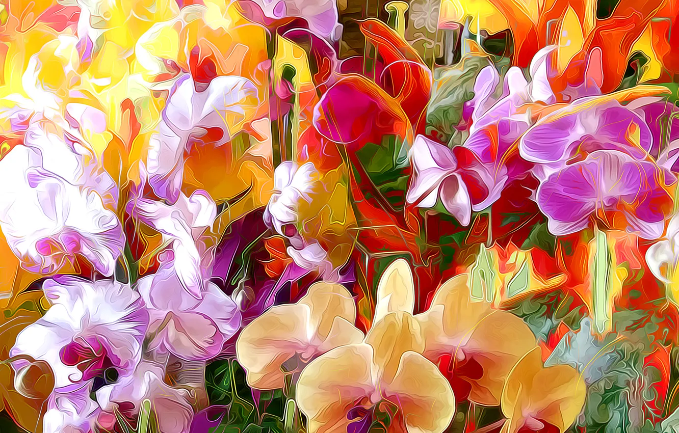 Фото обои линии, цветы, абстракция, краски, лепестки, орхидея, штрих