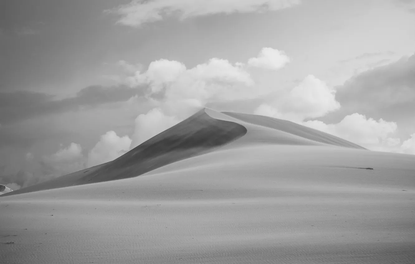 Фото обои desert, sand, wind, dune, sunny, dry