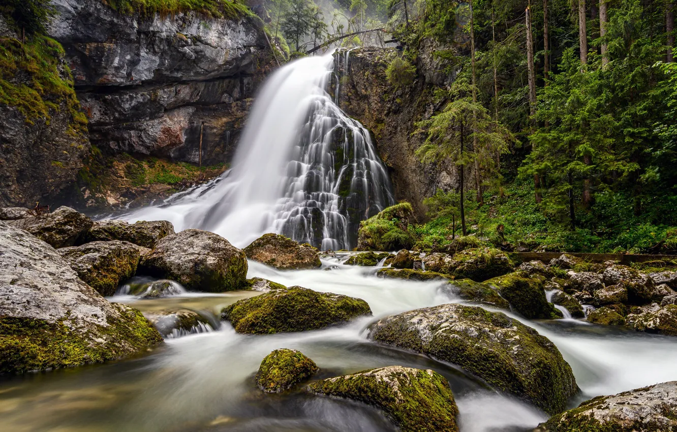 Фото обои лес, скала, река, камни, водопад, Австрия, каскад, Austria