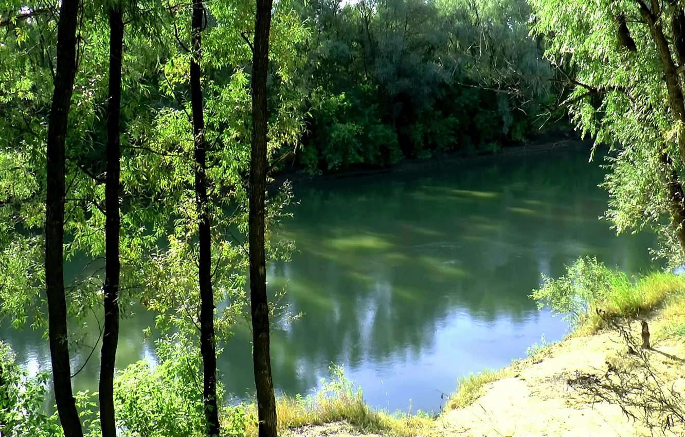 Фото обои лето, река, фон, обои, берег, Сибирь