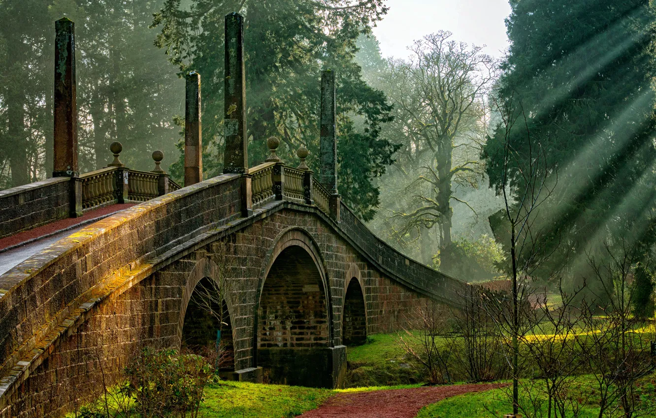 Фото обои зелень, трава, солнце, деревья, мост, парк, Шотландия, тропинка