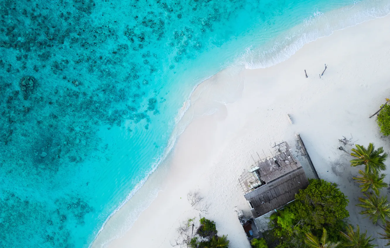 Фото обои beach, sand, caribbean