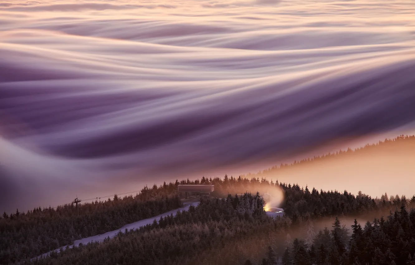 Фото обои лес, облака, свет, деревья, туман