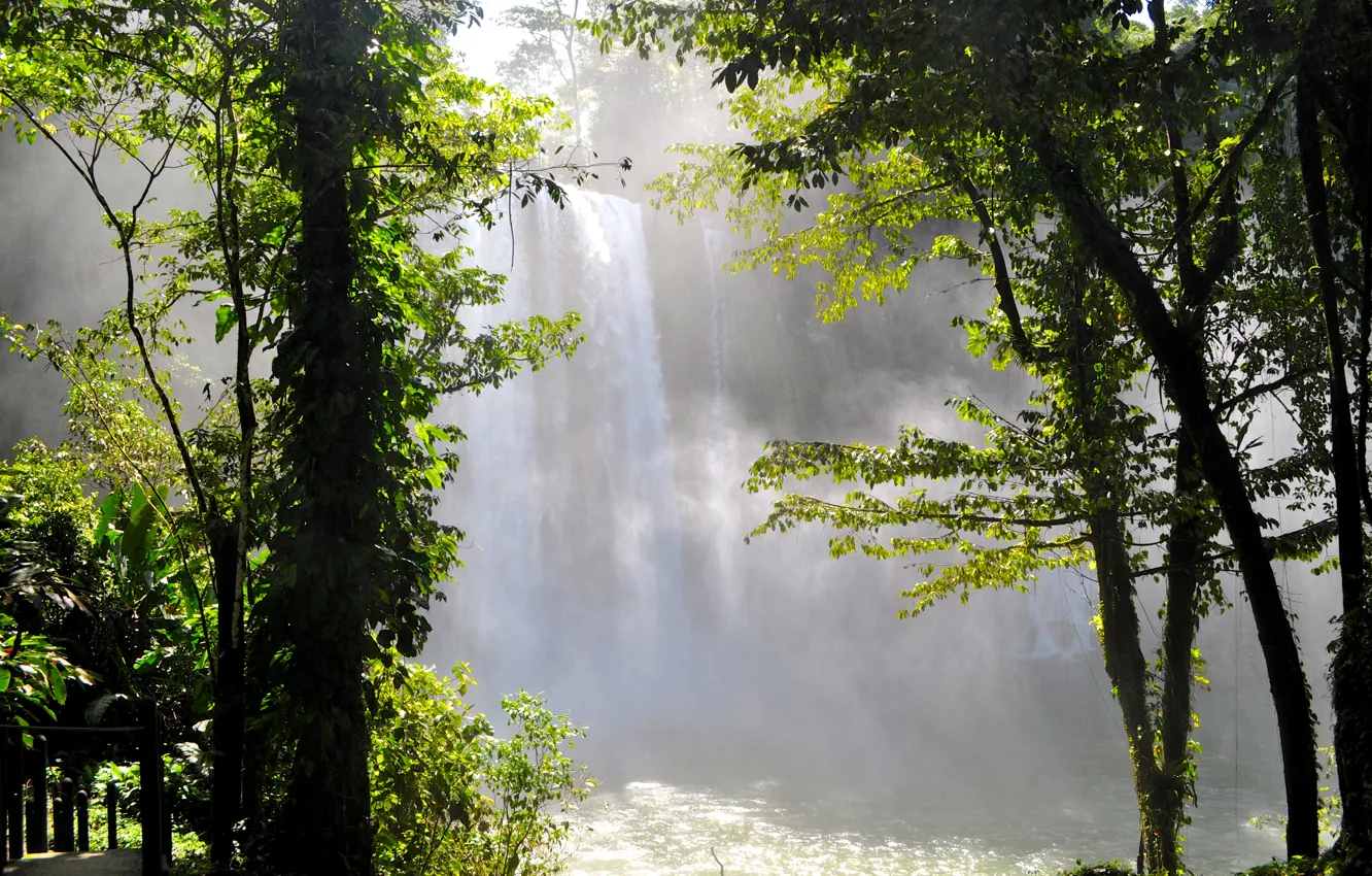 Фото обои деревья, природа, река, водопад